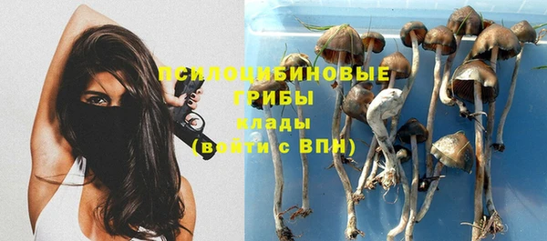 таблы Касимов