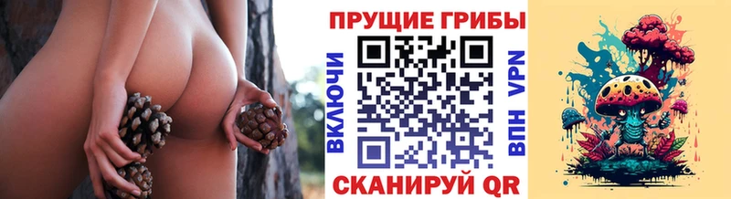 Купить  Бабаево  Галлюциногенные грибы мицелий 